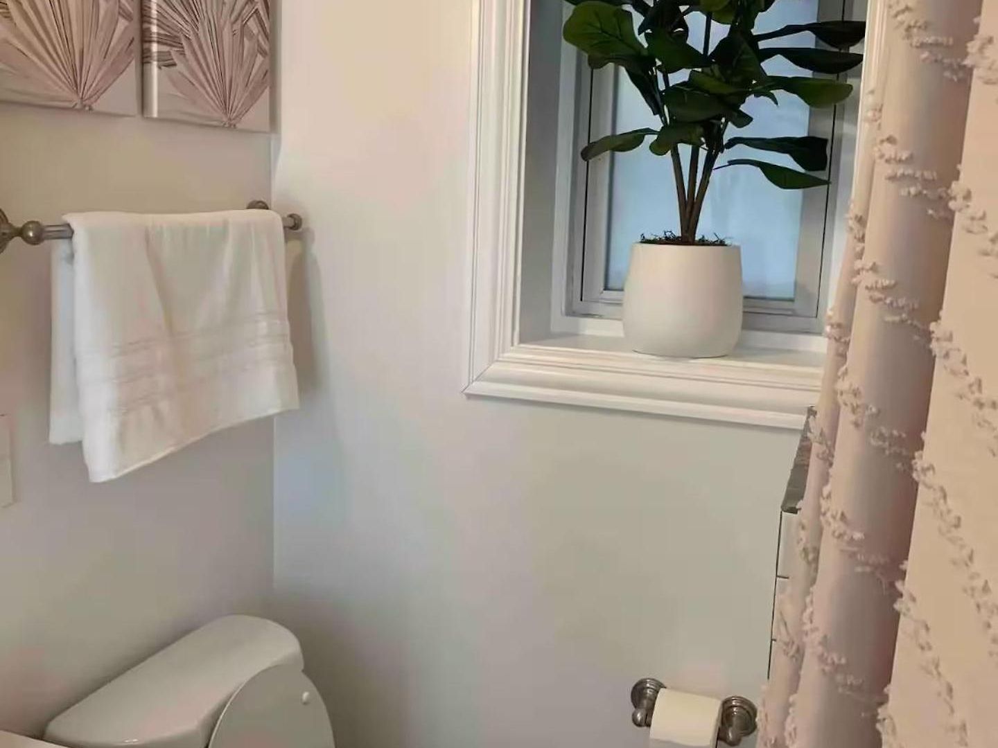 Tropical Boho Oasis Chicago