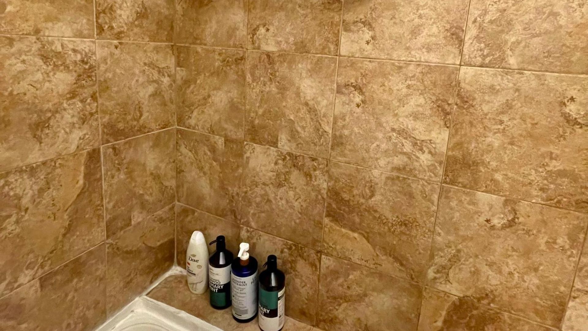 Fully Furnished 2br Near Oak Park I Utilities Included I Car Available Chicago