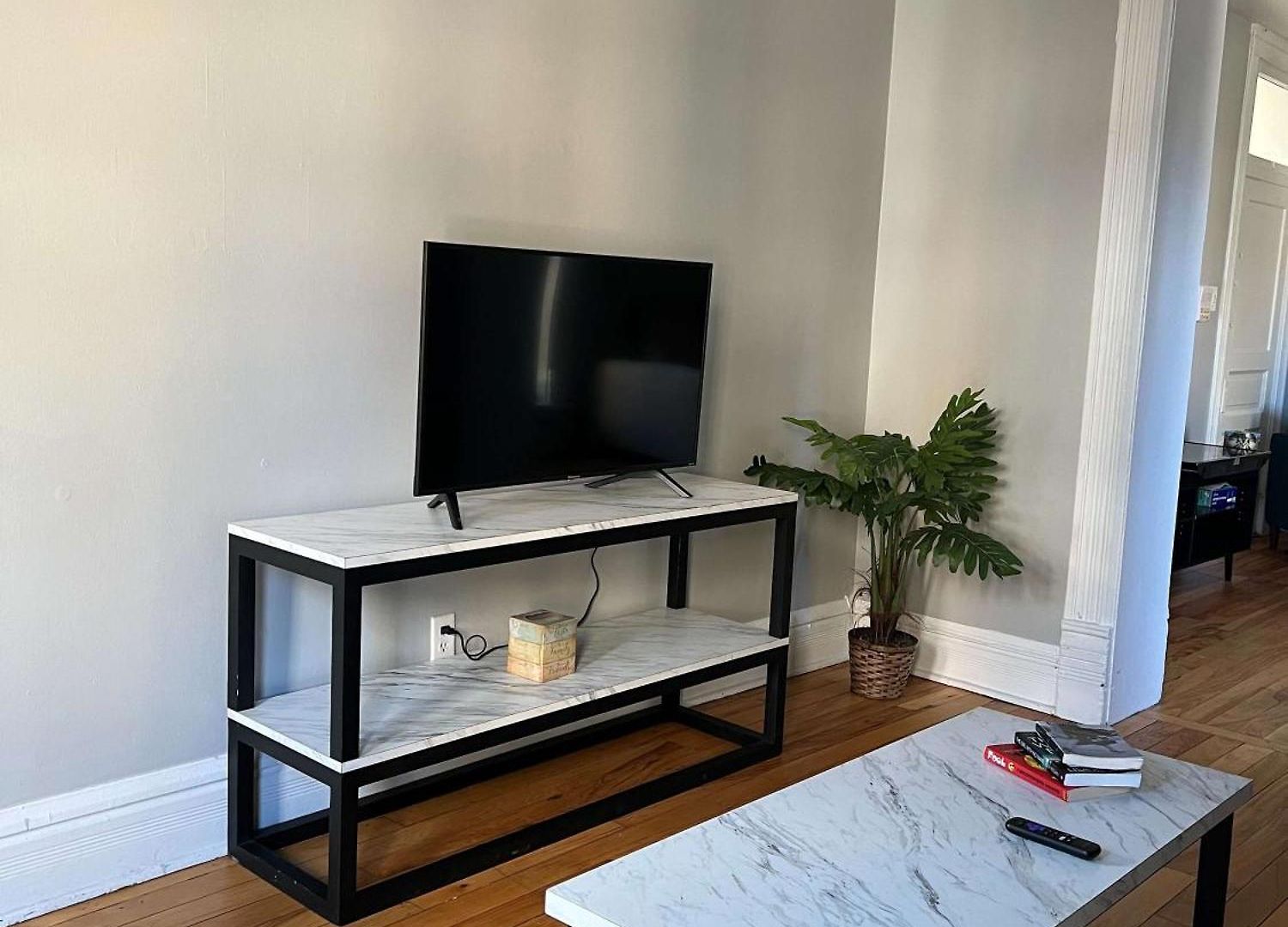 Apartment South Loop 3 Bedroom