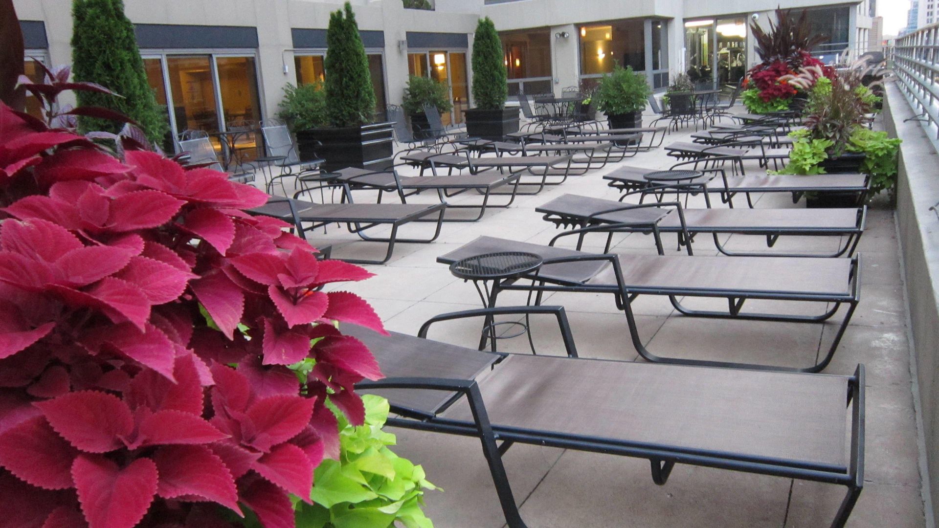 Hotel Courtyard By Marriott Downtown/river North 3*