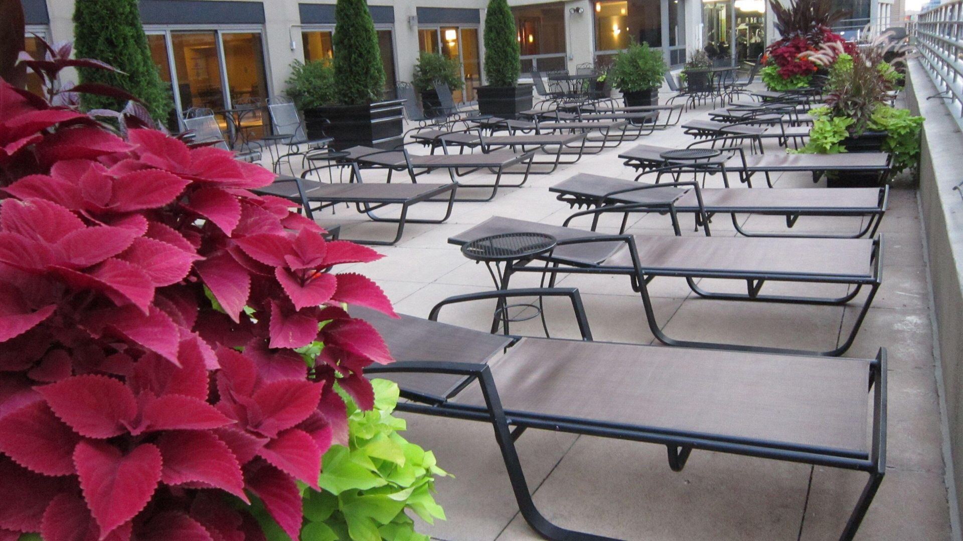 Hotel Courtyard By Marriott Downtown/river North Chicago