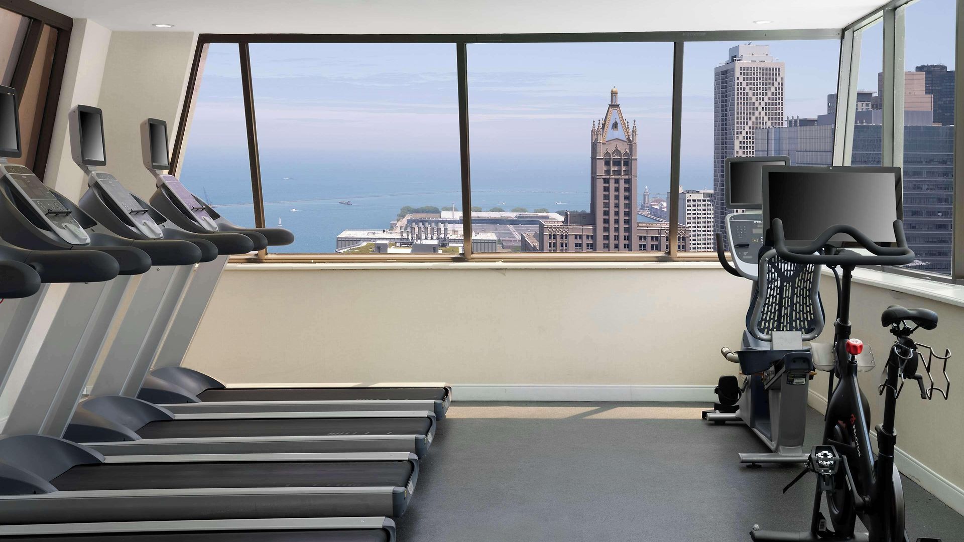 Hotel Hampton Downtown/magnificent Mile 3*