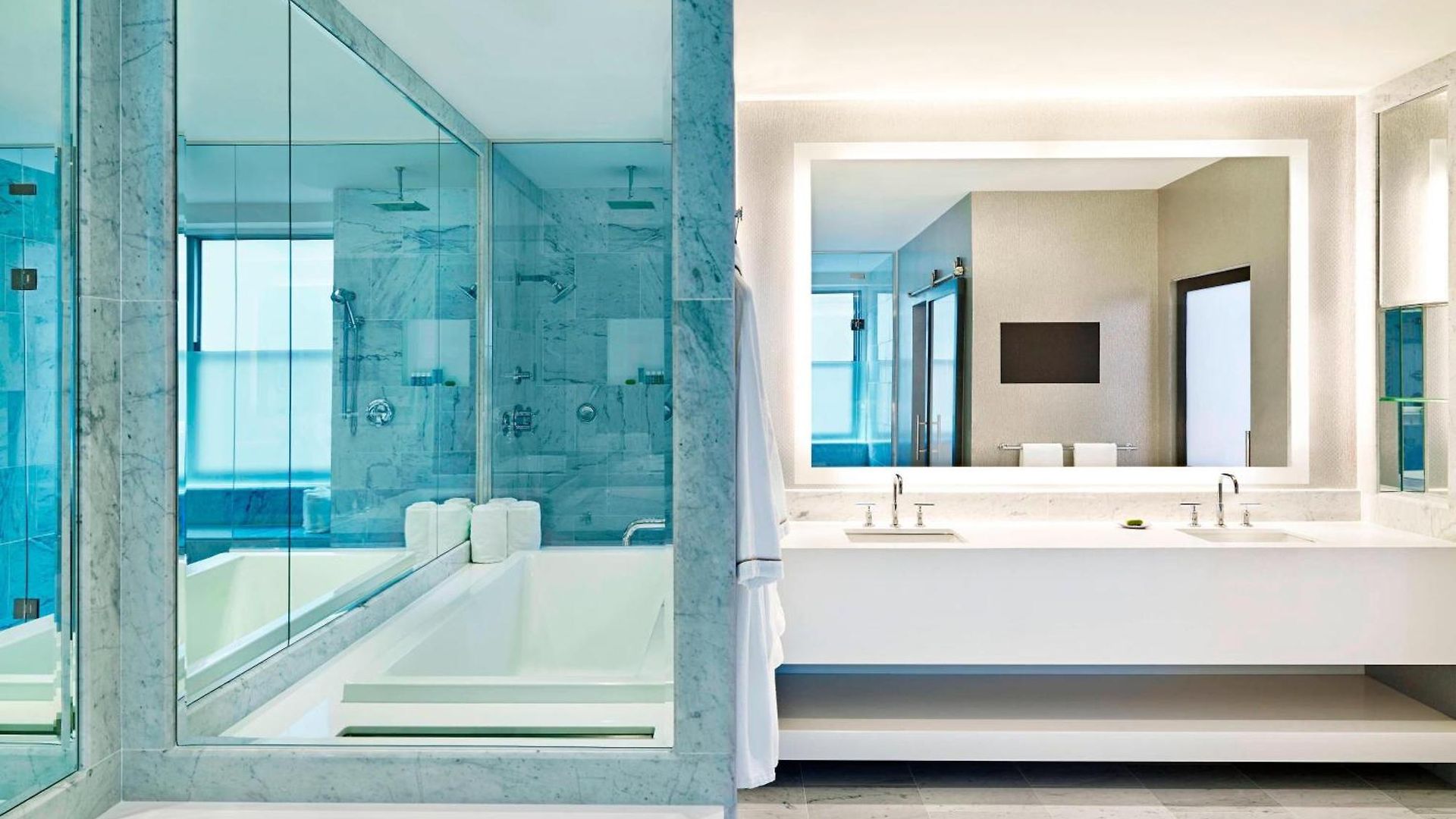 Hotel The Midland Hotel, Chicago, A Tribute Portfolio 4*