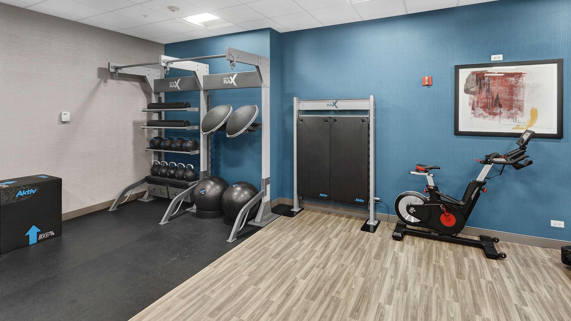 Hampton & Chicago-downtown Hotel 3*