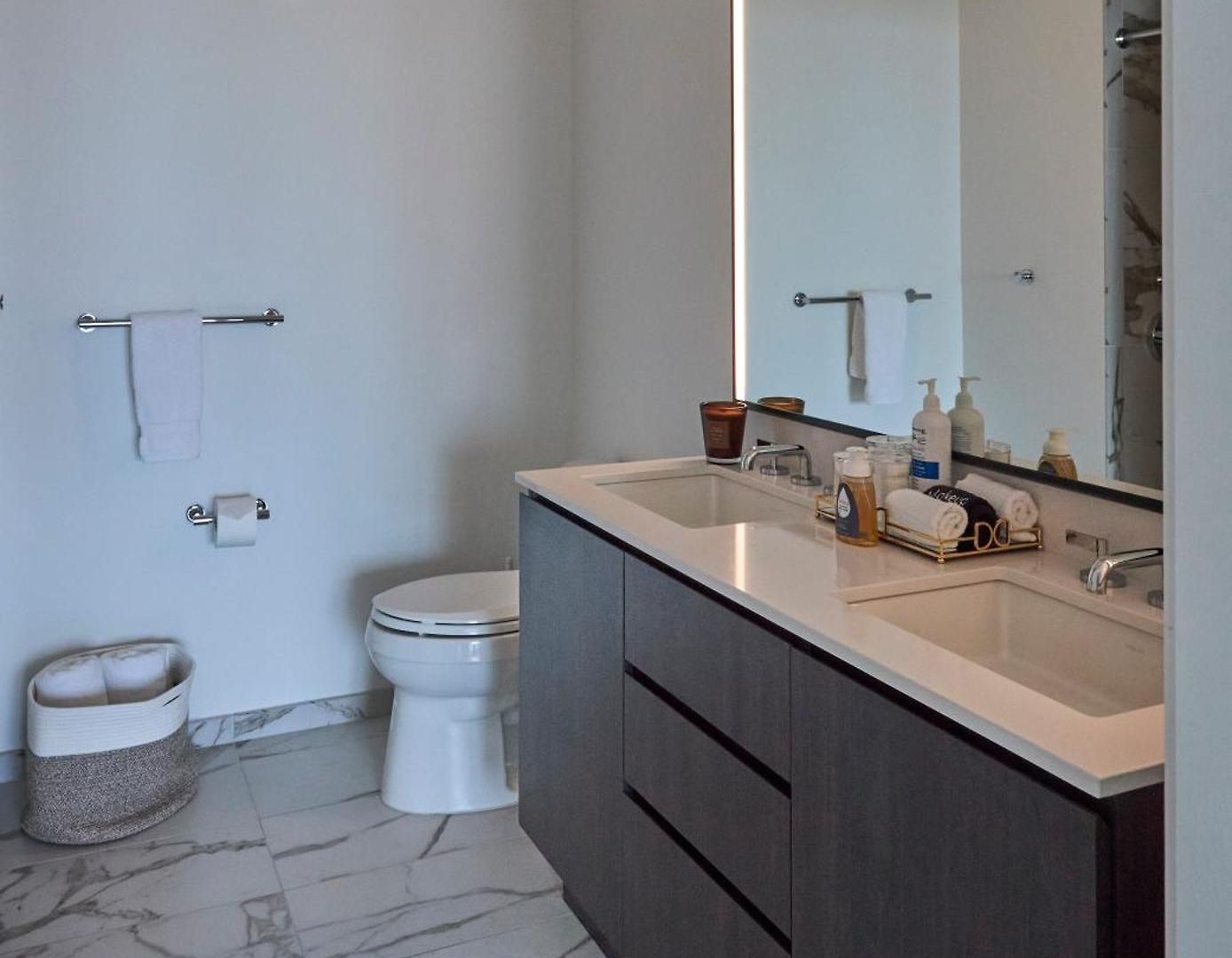 Apartment Lux Apts With Views And Amenities Chicago