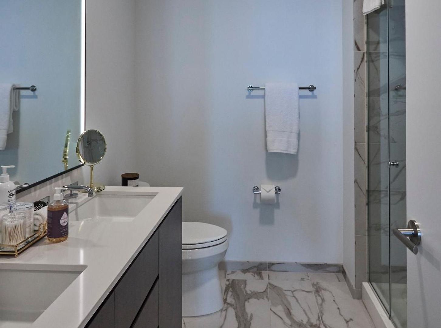 Lux Apts With Views And Amenities Apartment Chicago