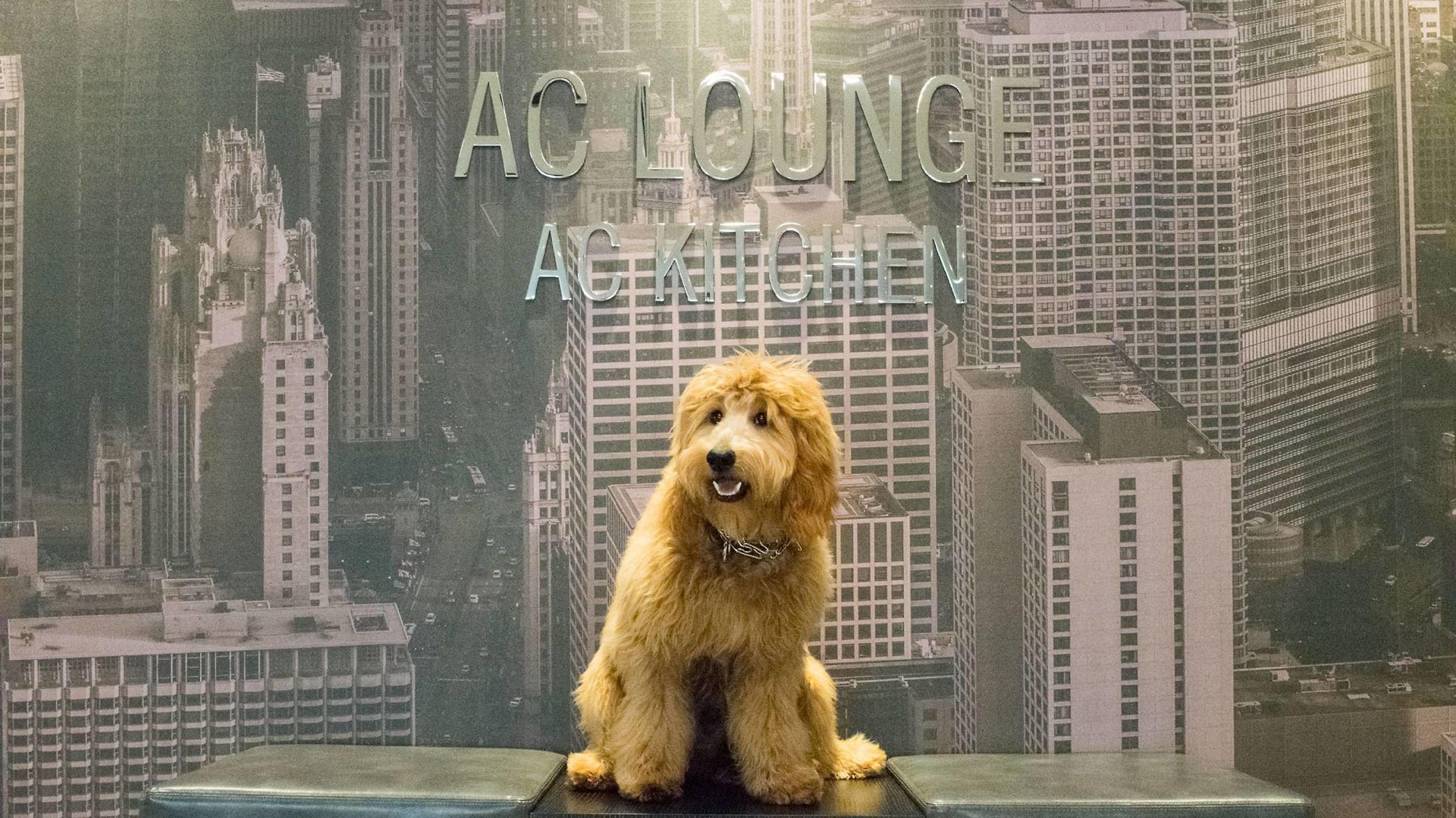 Ac Downtown Hotel 4*