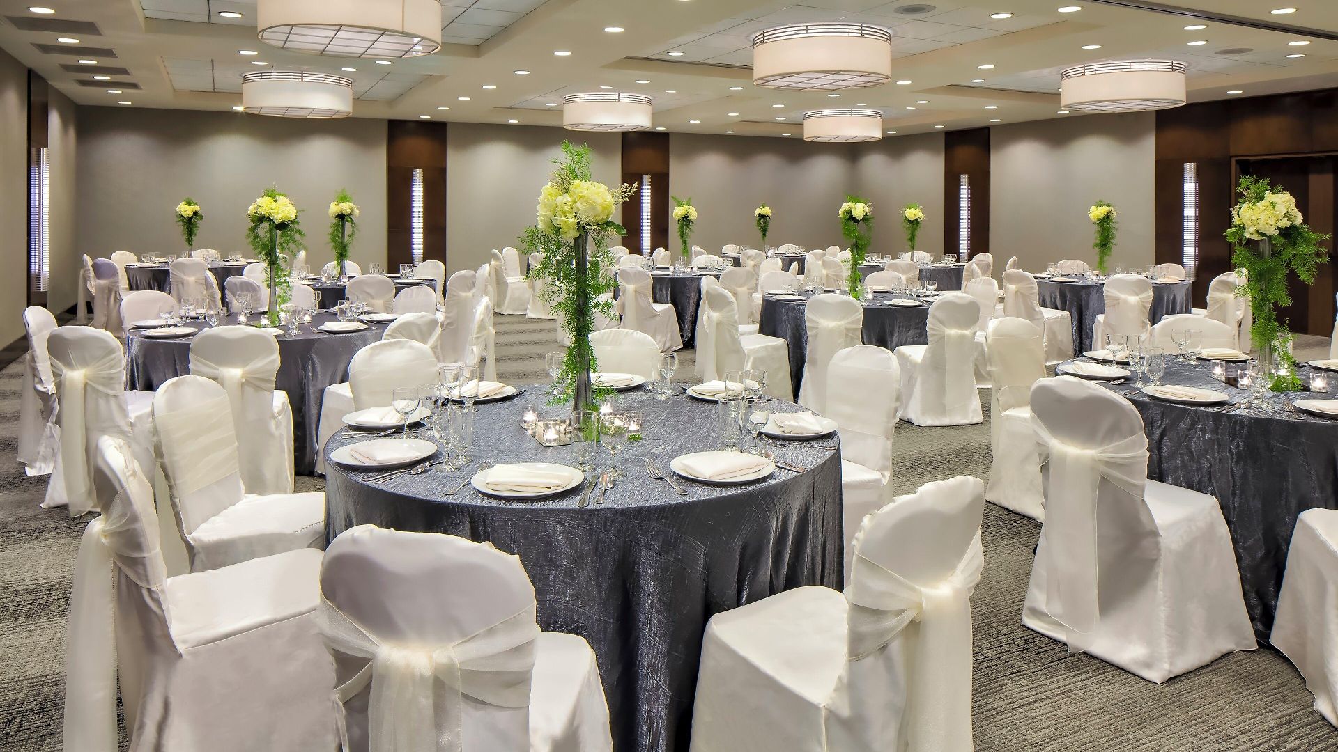 Hotel Crowne Plaza - West Loop By Ihg 3*