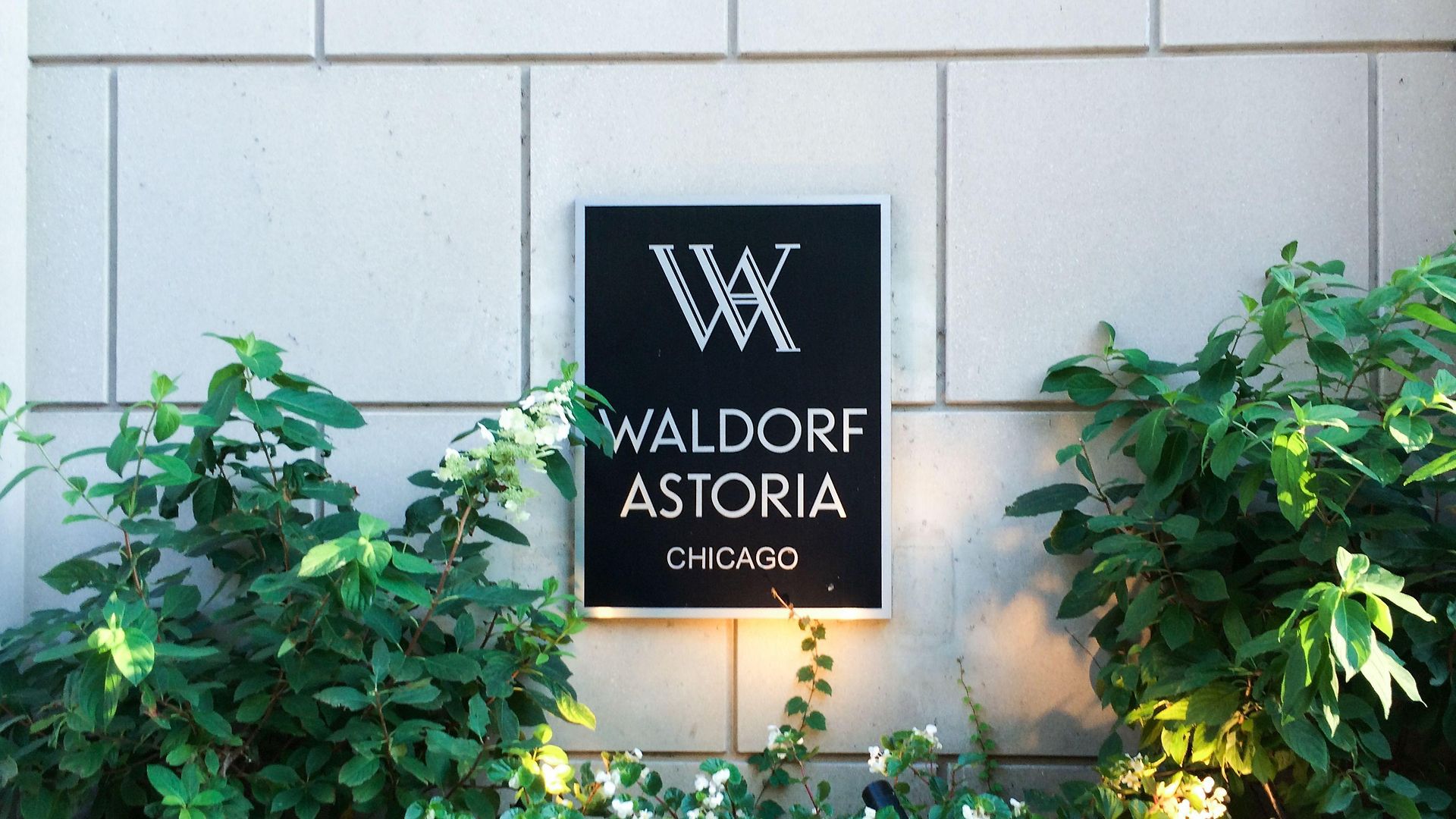 Hotel Waldorf Astoria Chicago