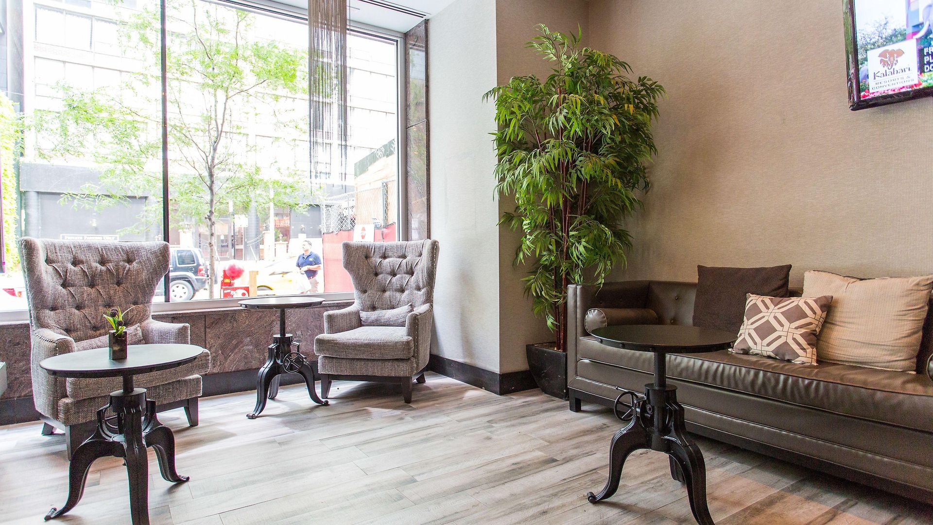 Ivy Boutique (adults Only)