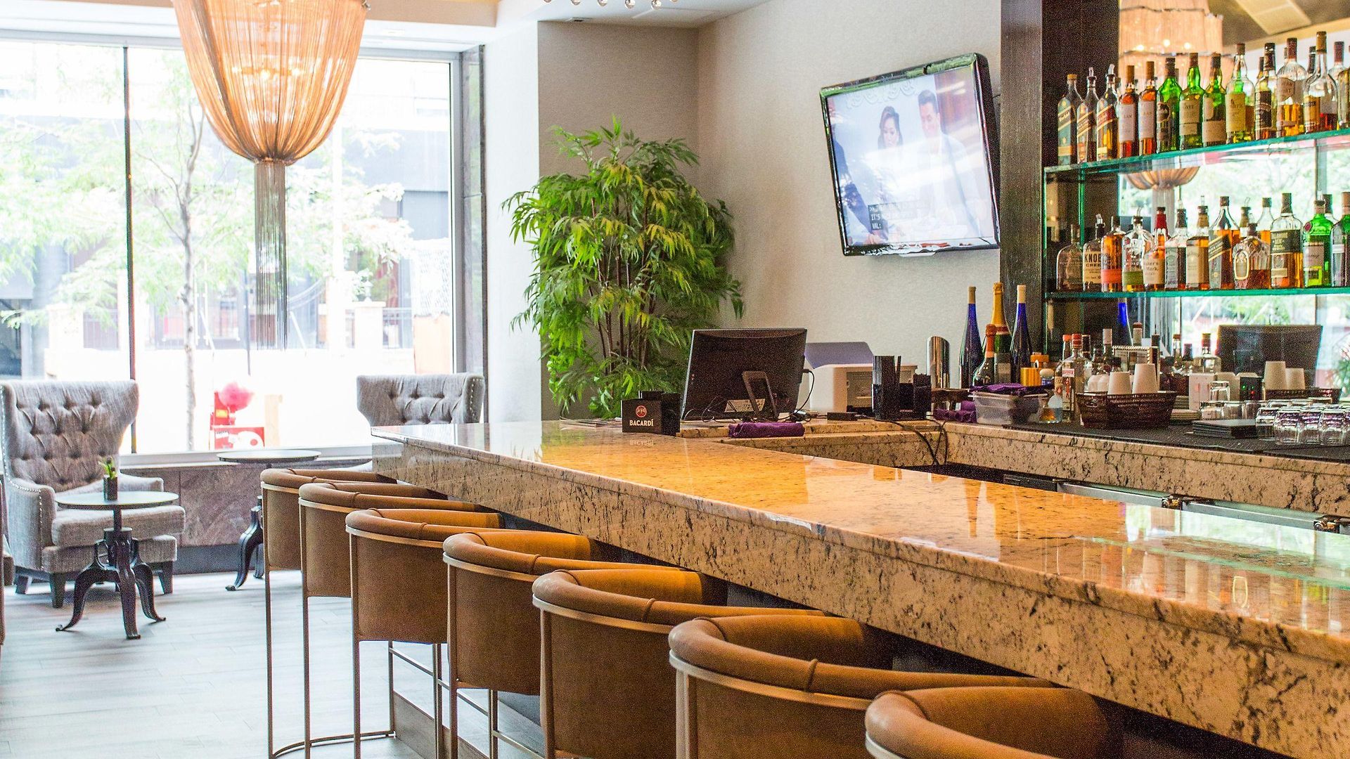 Ivy Boutique (adults Only) 4* Chicago