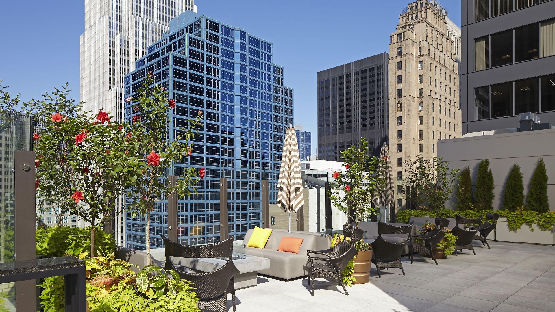 Hyatt Centric The Loop Chicago