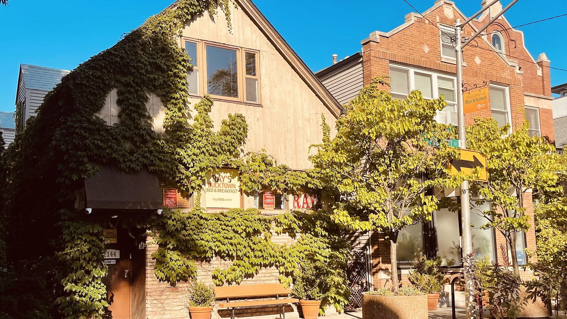 Ray's Bucktown Chicago