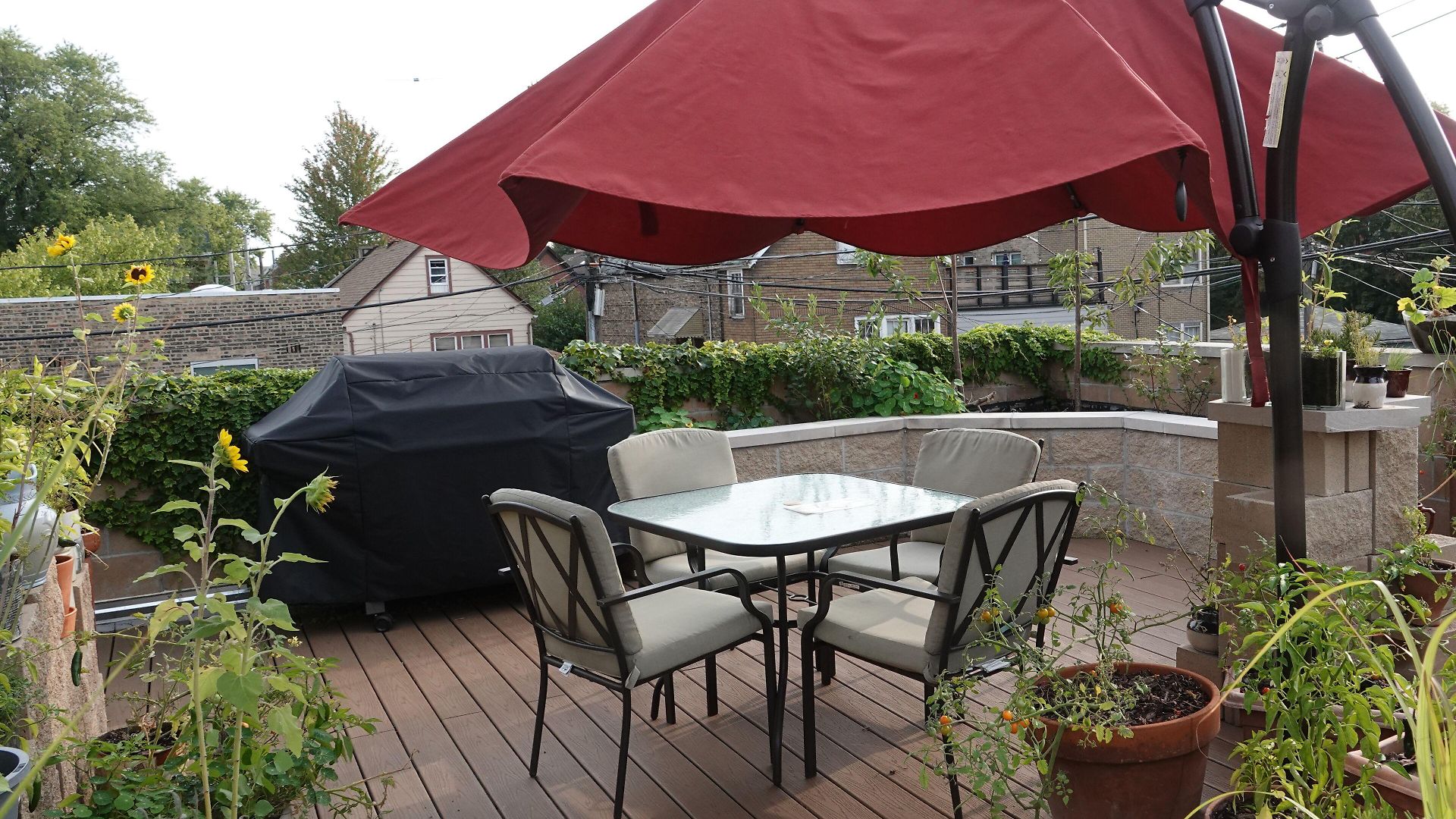 Ray's Bucktown 3* Chicago