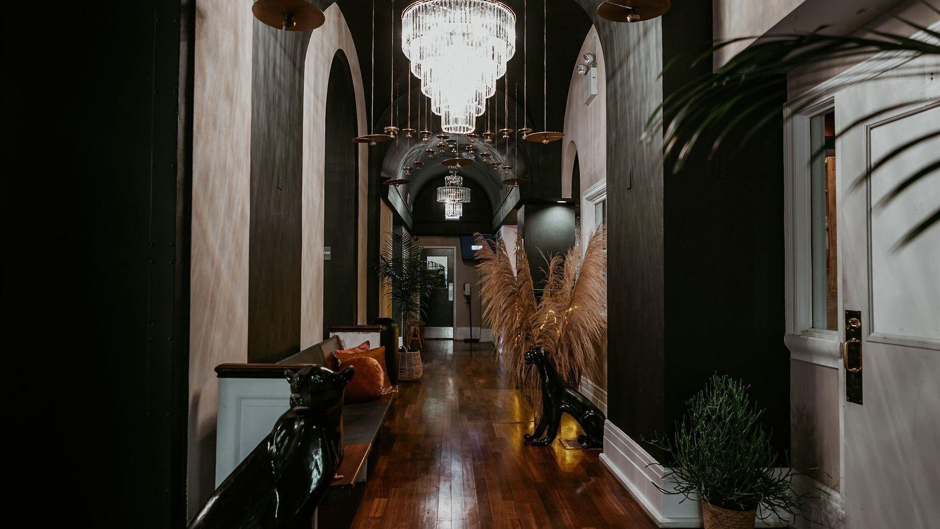 Selina 3* Chicago