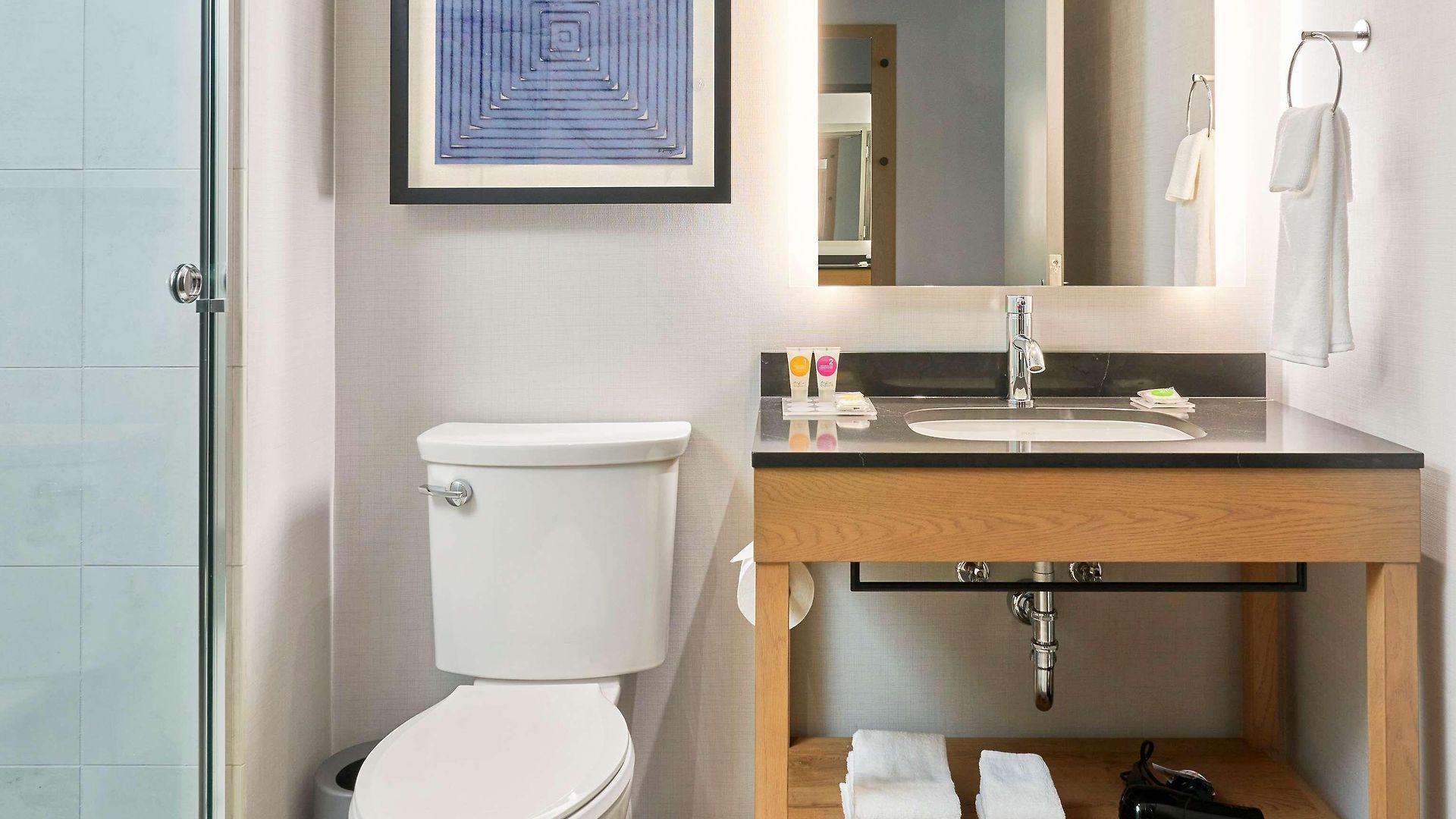 Hyatt Place Medical/university District 4* Chicago