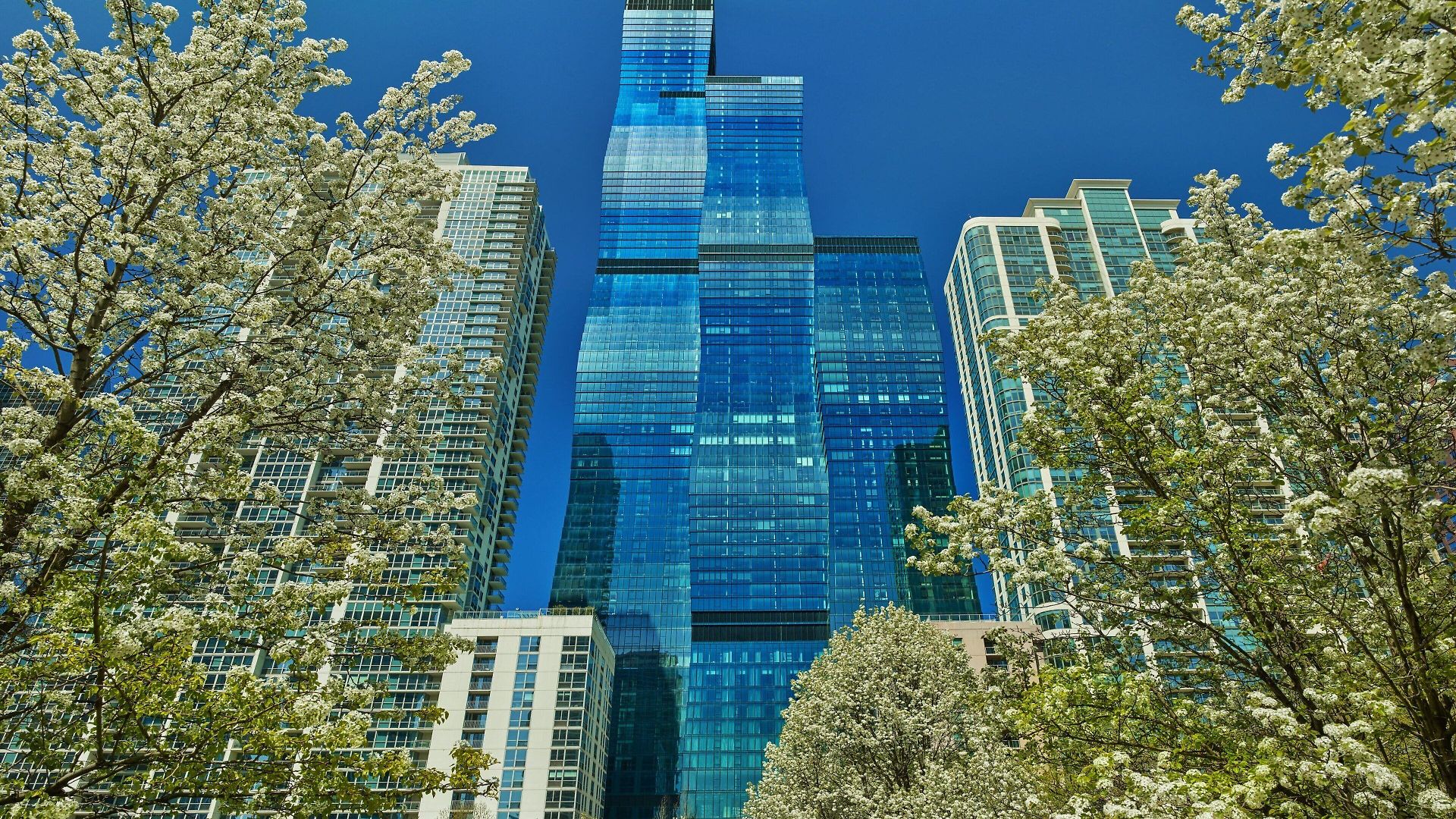 The St. Regis