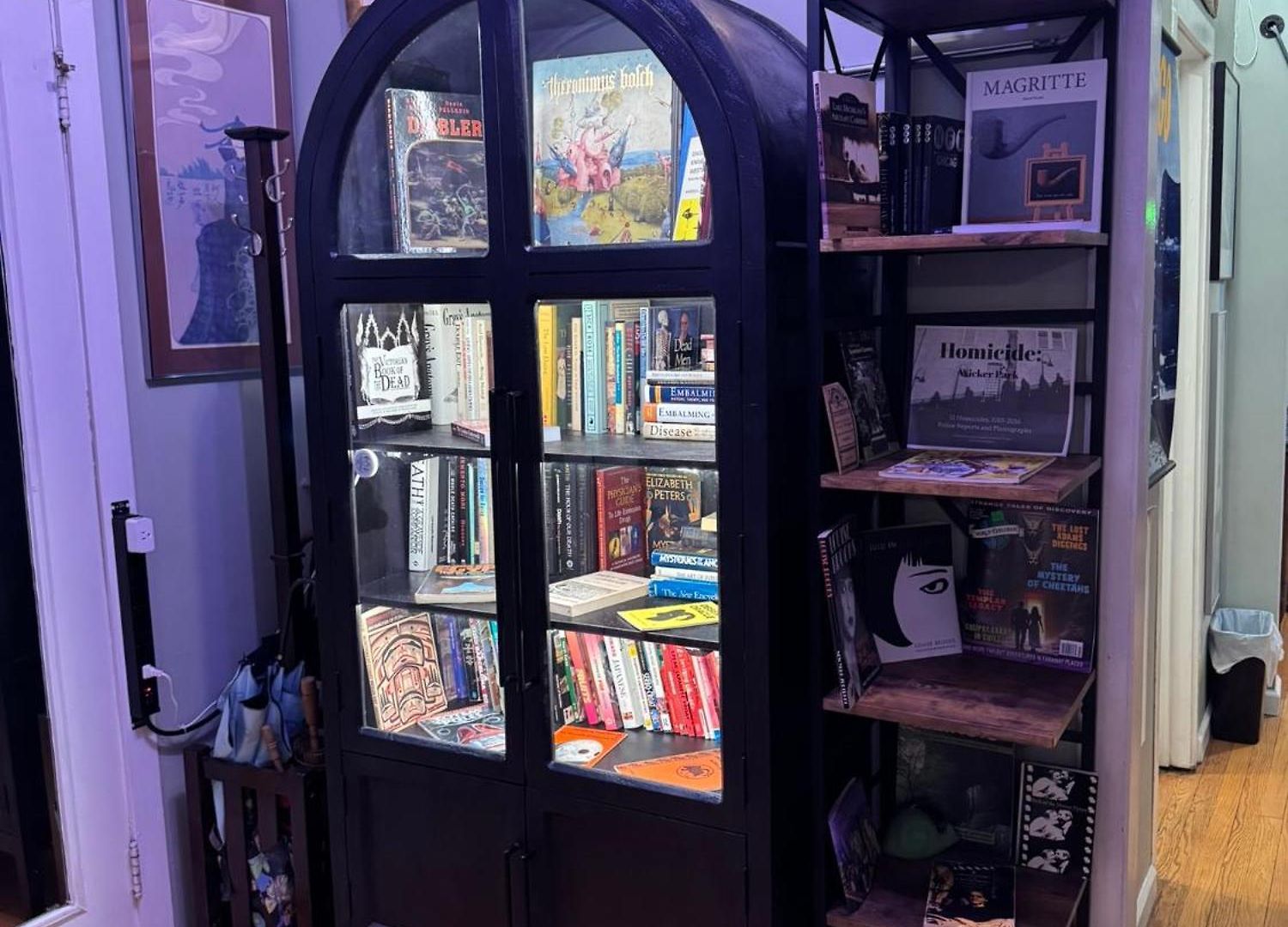 Tranquil Library 2brm 1bath Private Eclectic At Solar Apartment