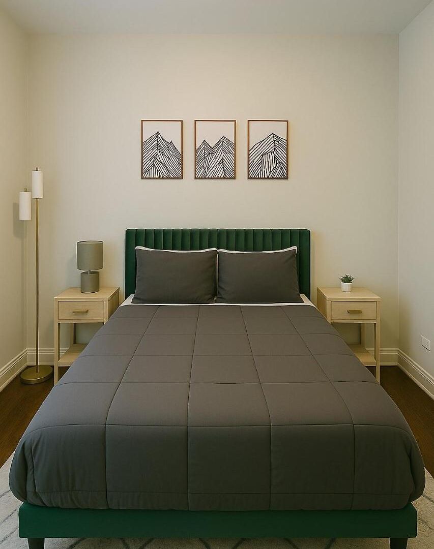 Spacious 1br With Washer Dryer Near Cta Apartment *