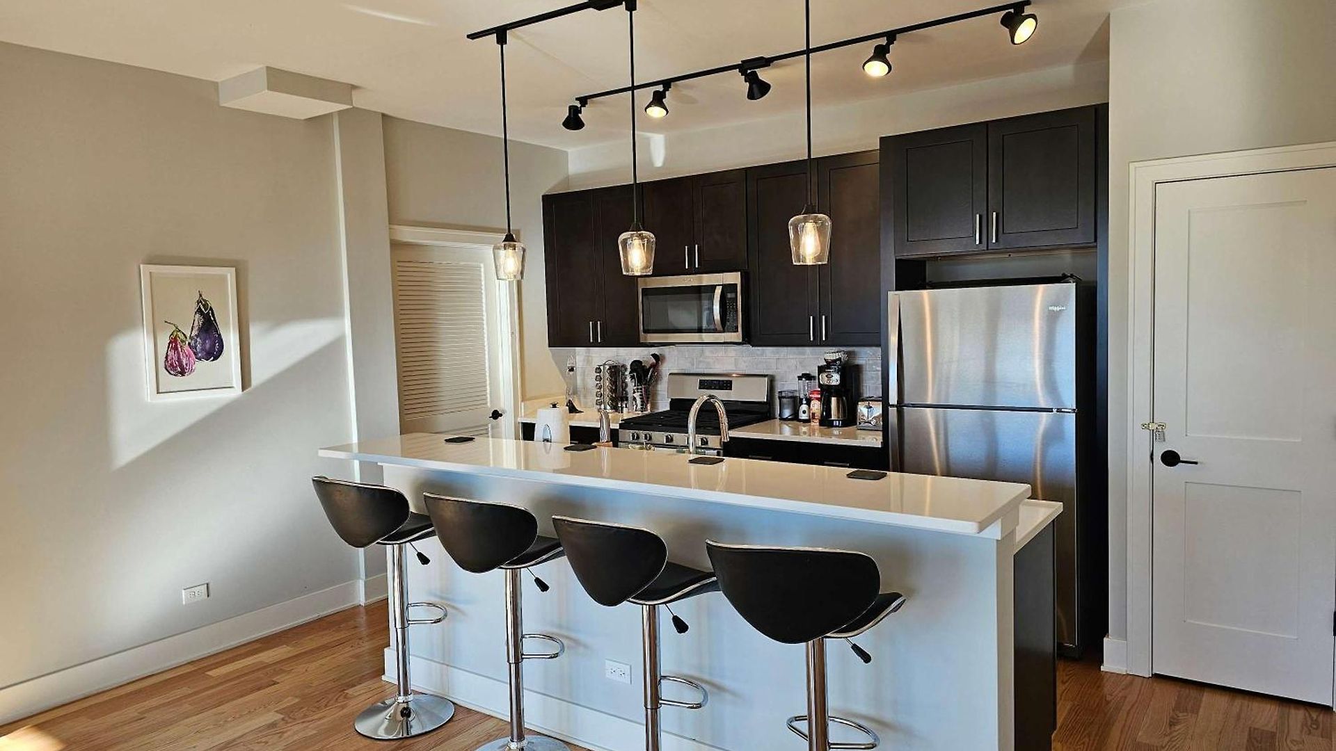 Updated 3 Bedroom Downtown Pilsen Apartment Chicago
