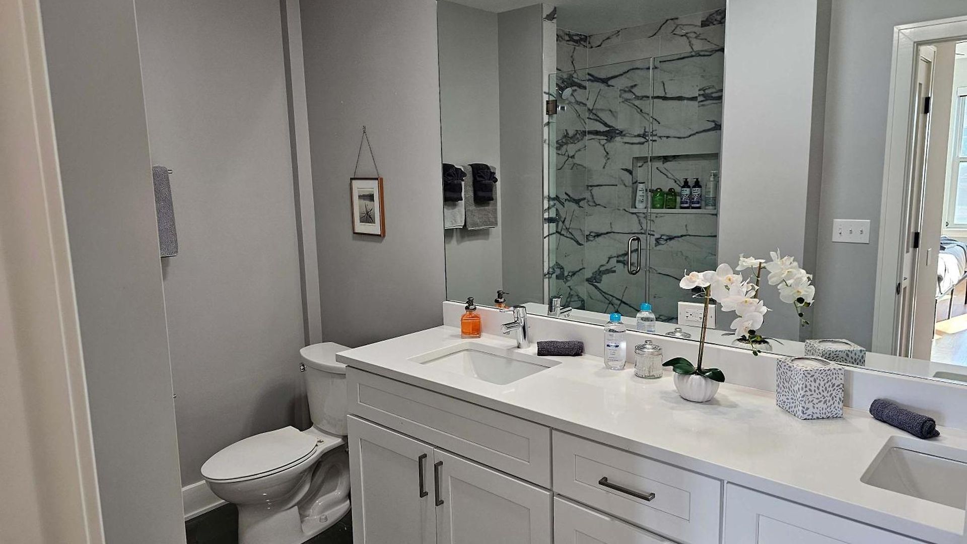 Updated 3 Bedroom Downtown Pilsen Apartment