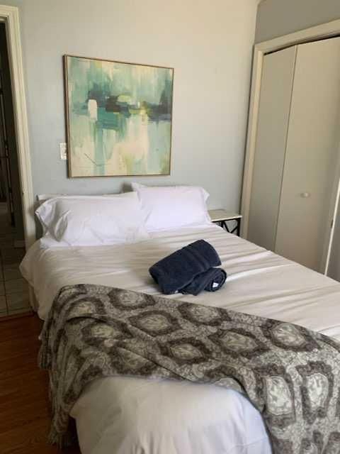 South Loop 4 Bedroom Apartment *