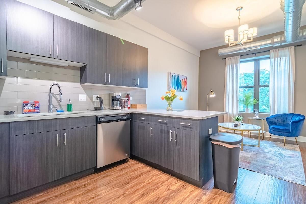 Apartment Spacious 3br Smoke Ok Near Mccormick Place Chicago
