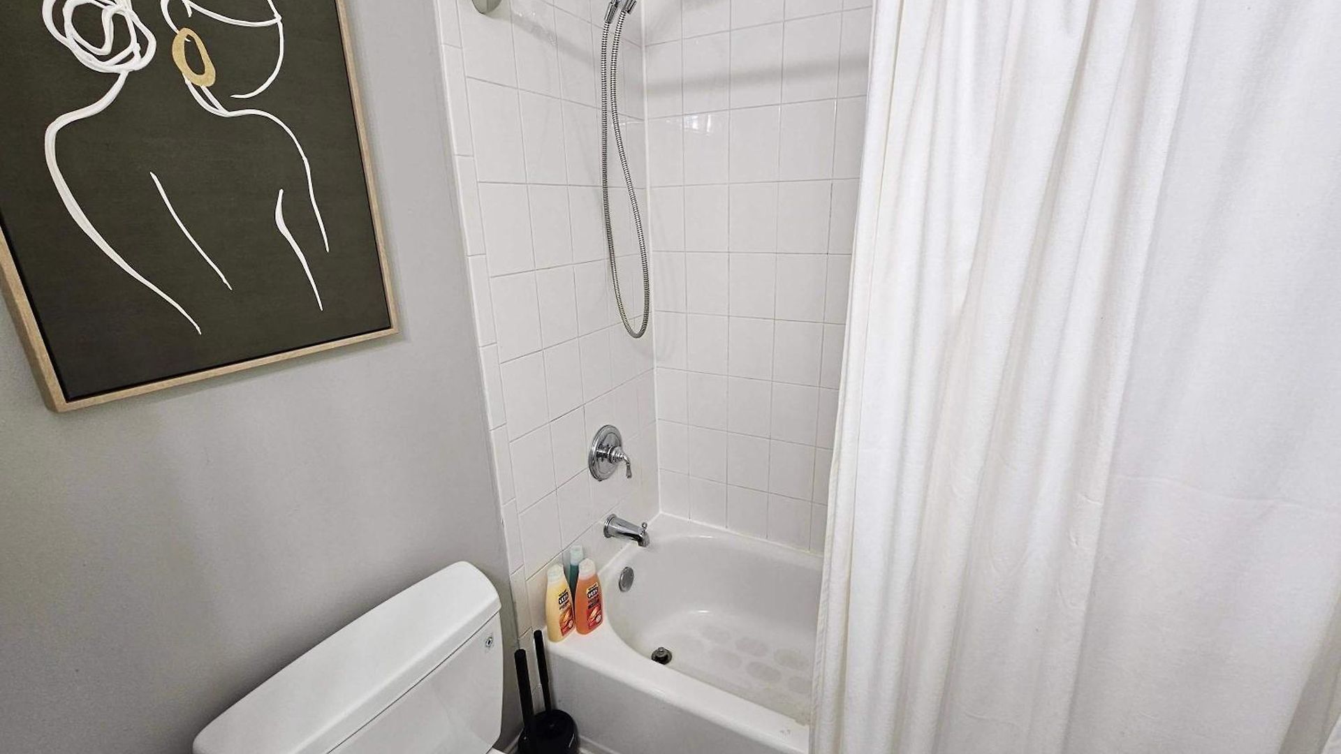 Two Bedroom West Loop Apartment