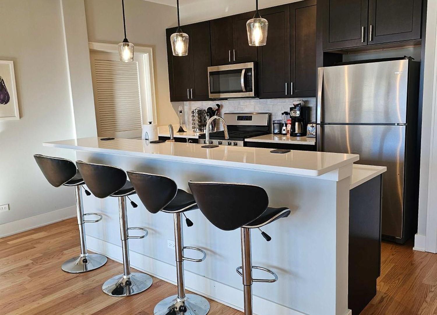 Updated 3 Bedroom Downtown Pilsen *
