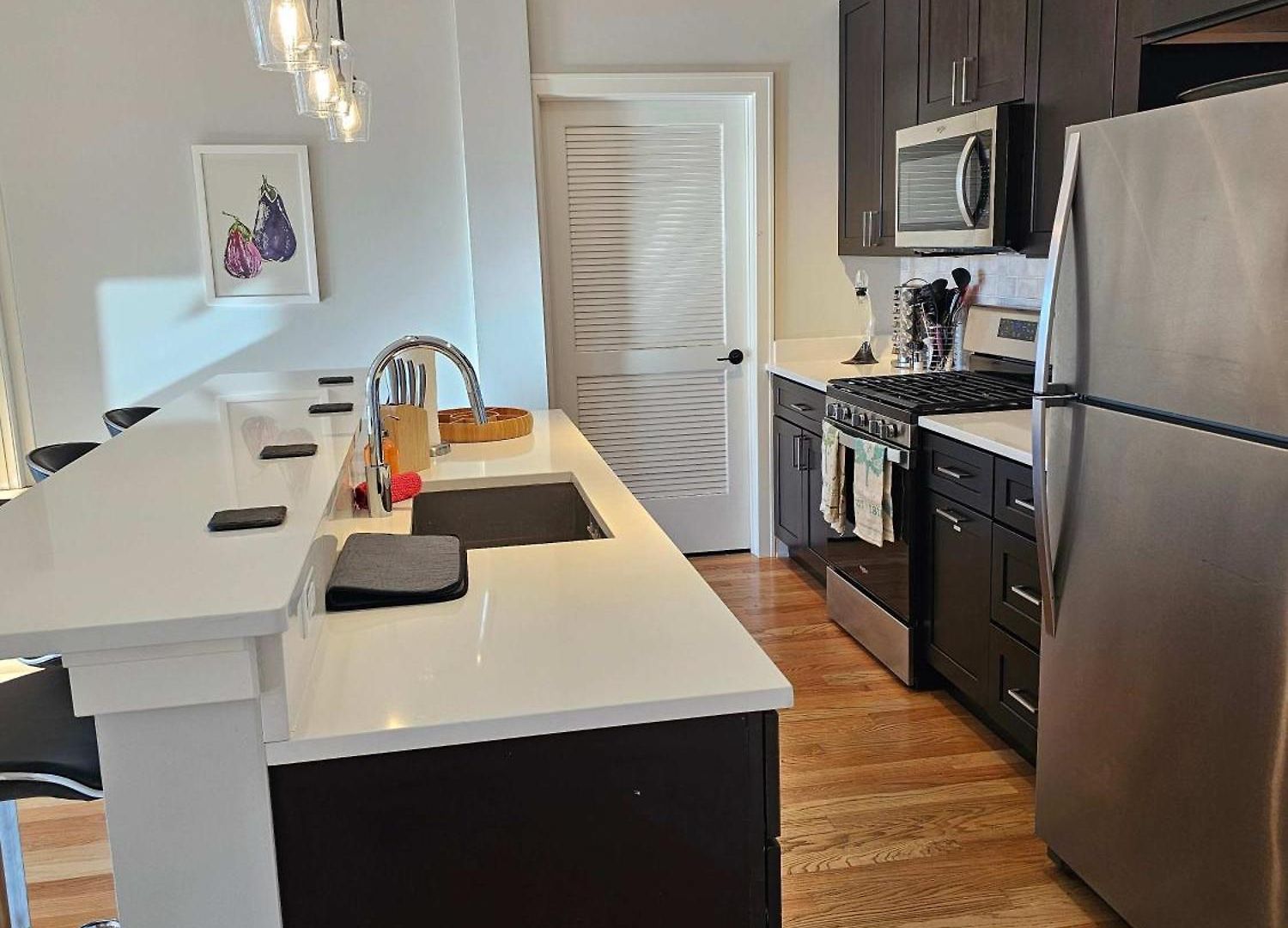 Updated 3 Bedroom Downtown Pilsen Apartment Chicago