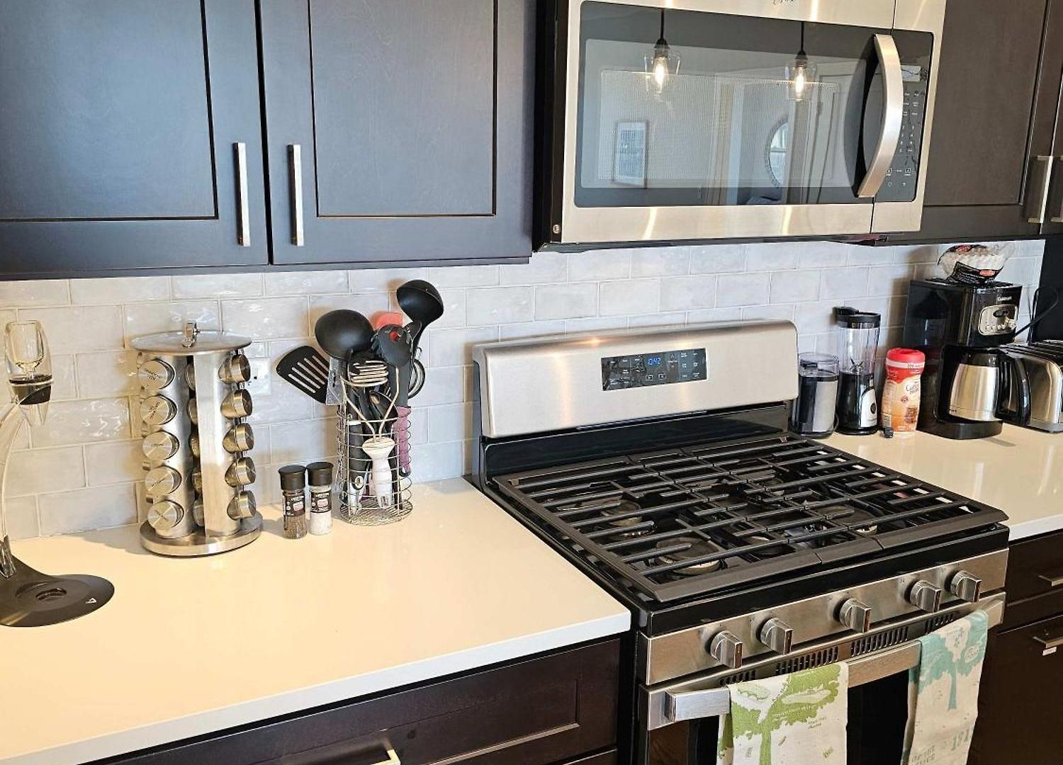 Updated 3 Bedroom Downtown Pilsen Apartment Chicago