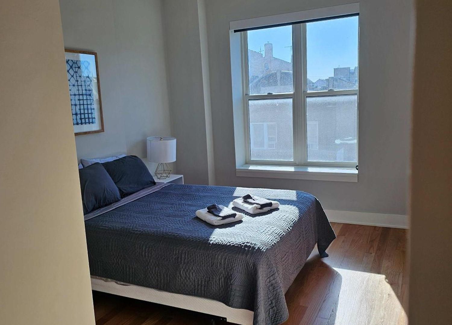 Updated 3 Bedroom Downtown Pilsen Apartment