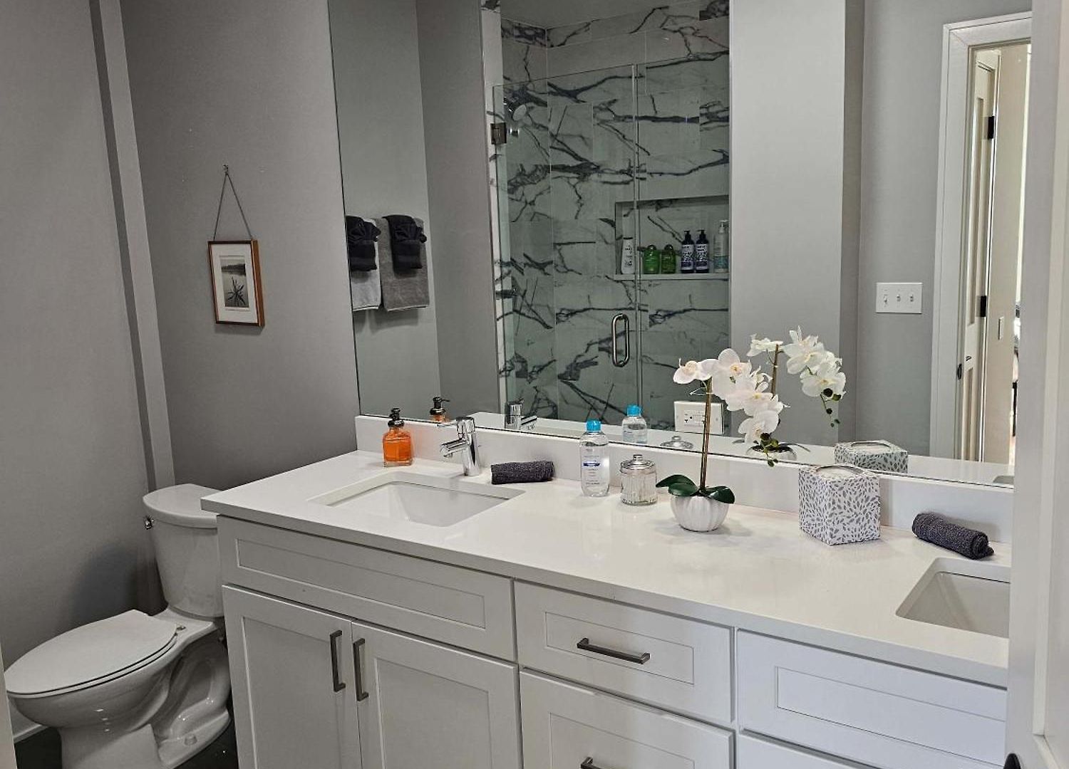 Updated 3 Bedroom Downtown Pilsen Apartment Chicago