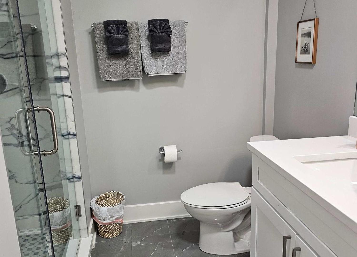 Updated 3 Bedroom Downtown Pilsen