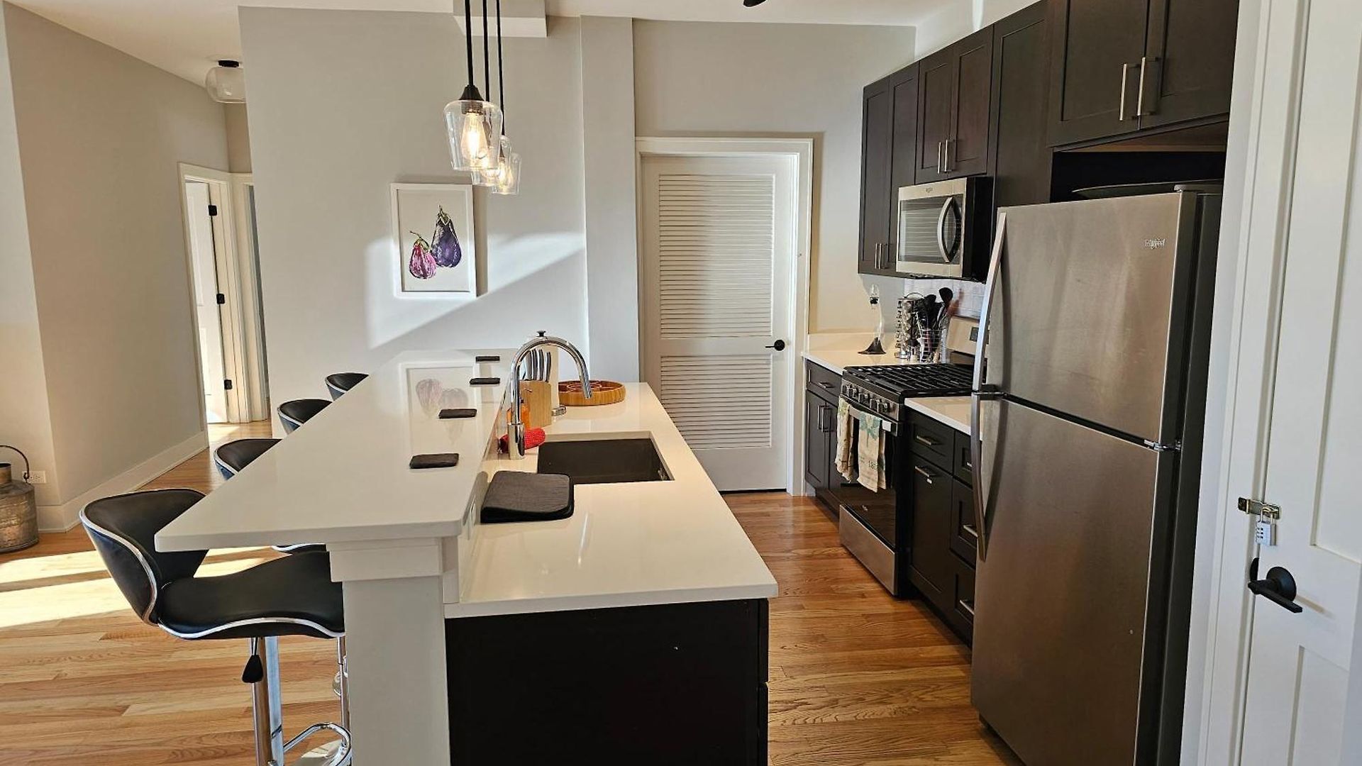 Updated 3 Bedroom Downtown Pilsen *