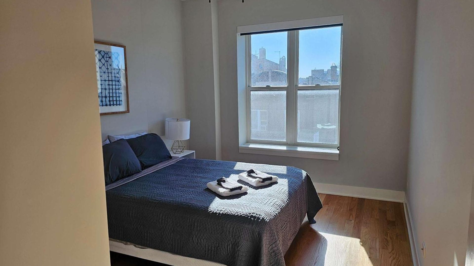 Updated 3 Bedroom Downtown Pilsen *
