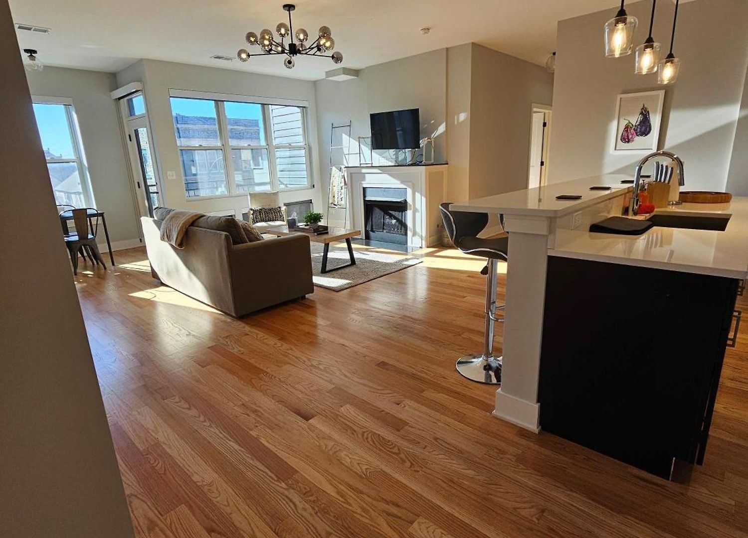 Updated 3 Bedroom Downtown Pilsen Apartment Chicago
