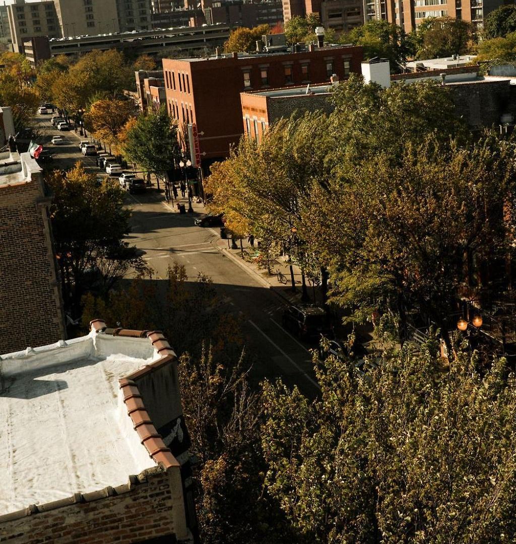 The Neighborhood - Little Italy Chicago