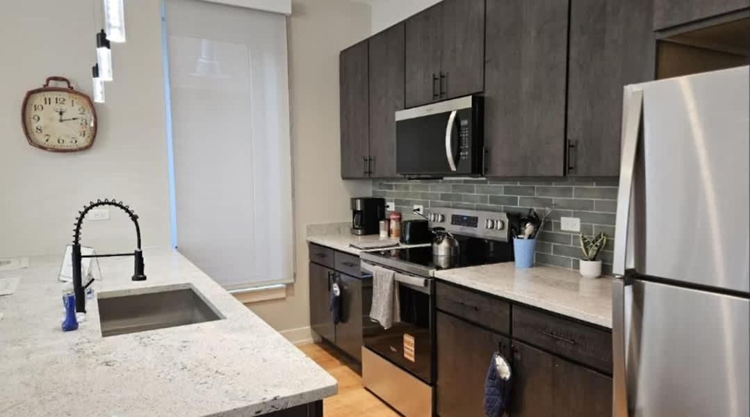 Apartment Renovated 3 Bedroom Downtown Pilsen Chicago