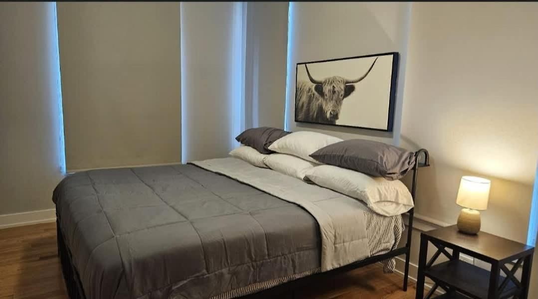 Renovated 3 Bedroom Downtown Pilsen Chicago