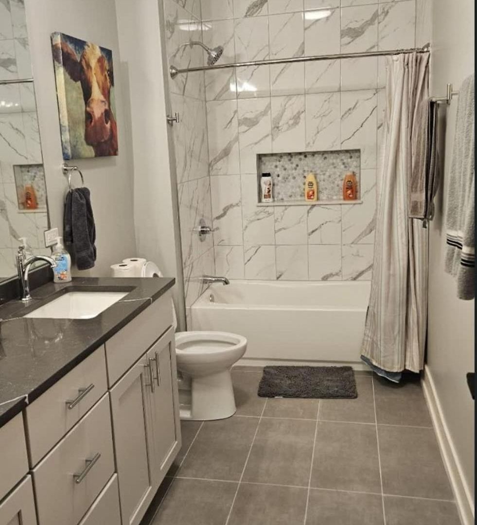 Renovated 3 Bedroom Downtown Pilsen * Chicago