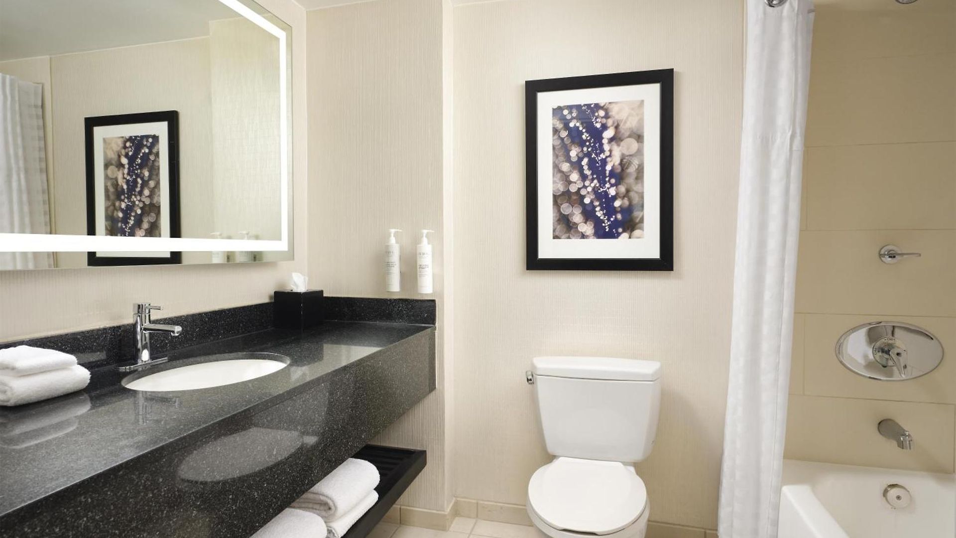 Hotel Embassy By Hilton Downtown Magnificent Mile 4*