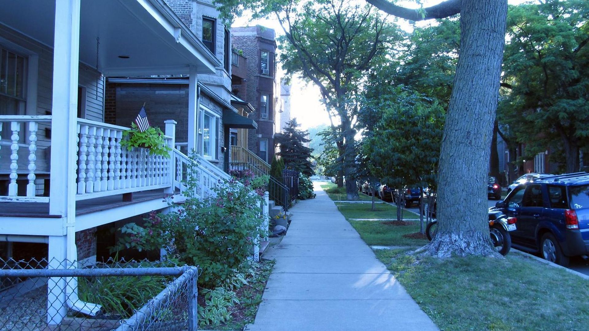 Apartment Cozy Vintage Near Downtown Chicago