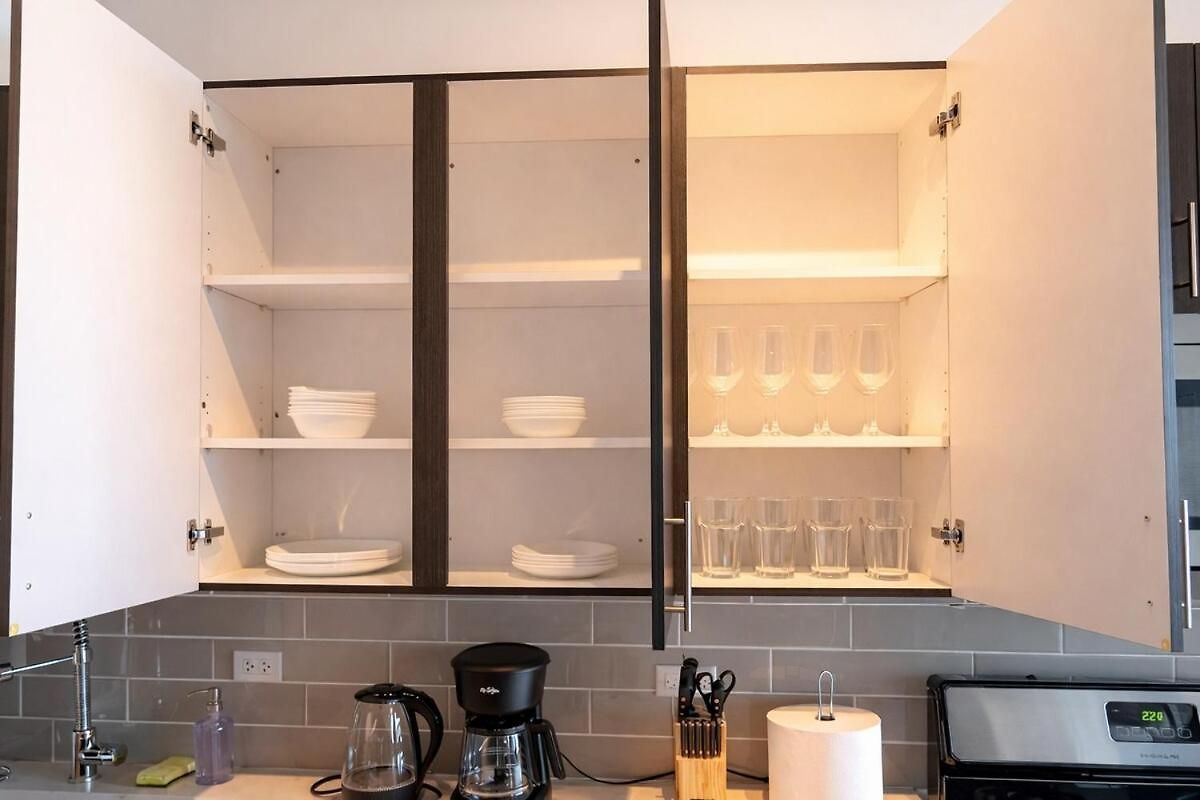 Mccormick Place Downtown: Luxurious 3br/2ba For 10 * Chicago
