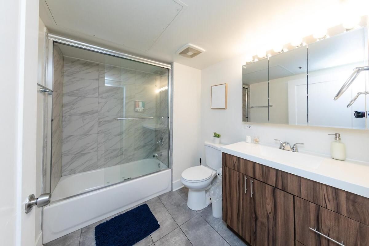 Modern South Loop 2br With View Of Skyline Patio And Gym Access Near Mccormick Place Convention Center & Museum Campus Apartment Chicago