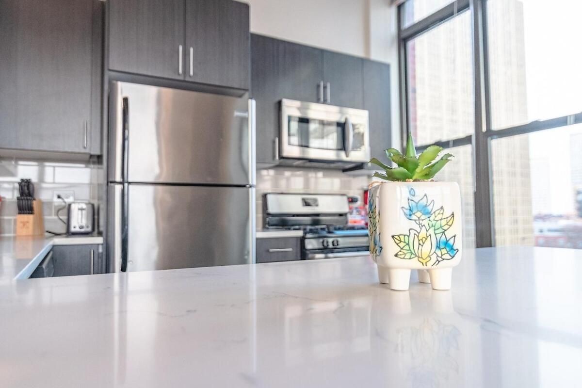 South Loop 2br Corner Unit With Natural Light, Optional Parking And Guest Access Near Downtown And Mccormick Place Apartment *