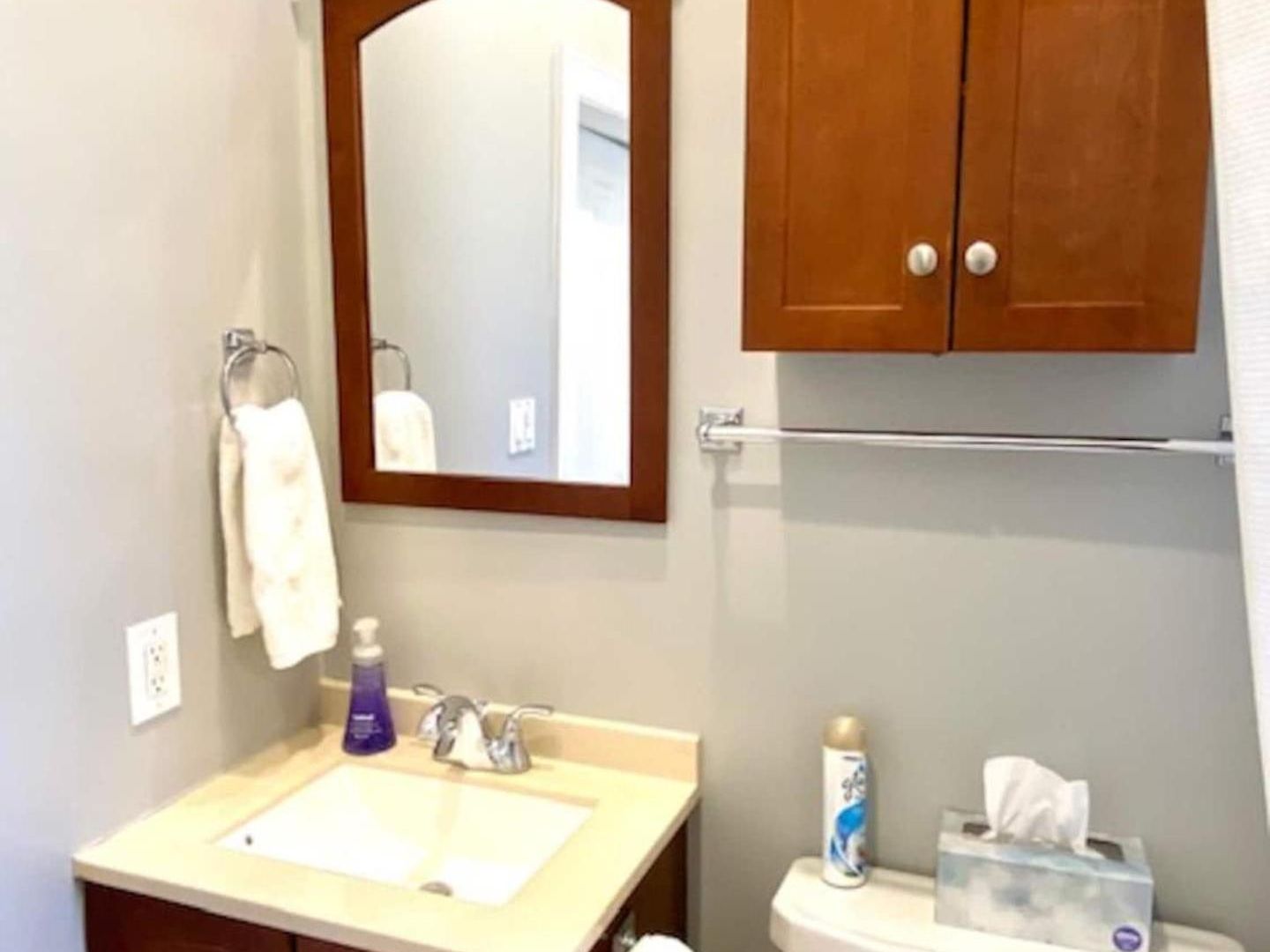 Lakeview Hideaway 3Br Walk To Wrigley Sleeps 8 * Chicago