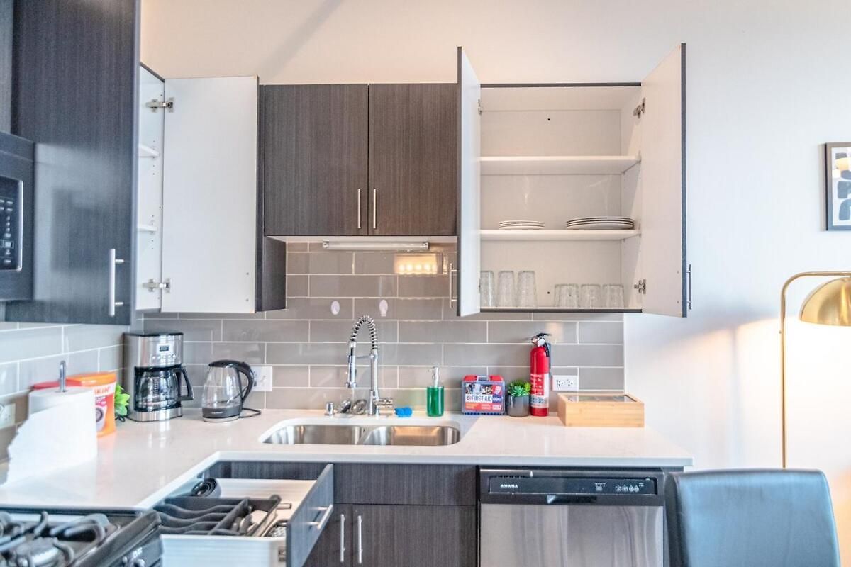 2br South Loop Location With Optional Parking & Gym Access Near Mccormick Place, Shedd Aquarium & Navy Pier Apartment Chicago