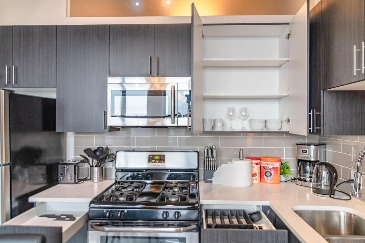 2br South Loop Location With Optional Parking & Gym Access Near Mccormick Place, Shedd Aquarium & Navy Pier Apartment