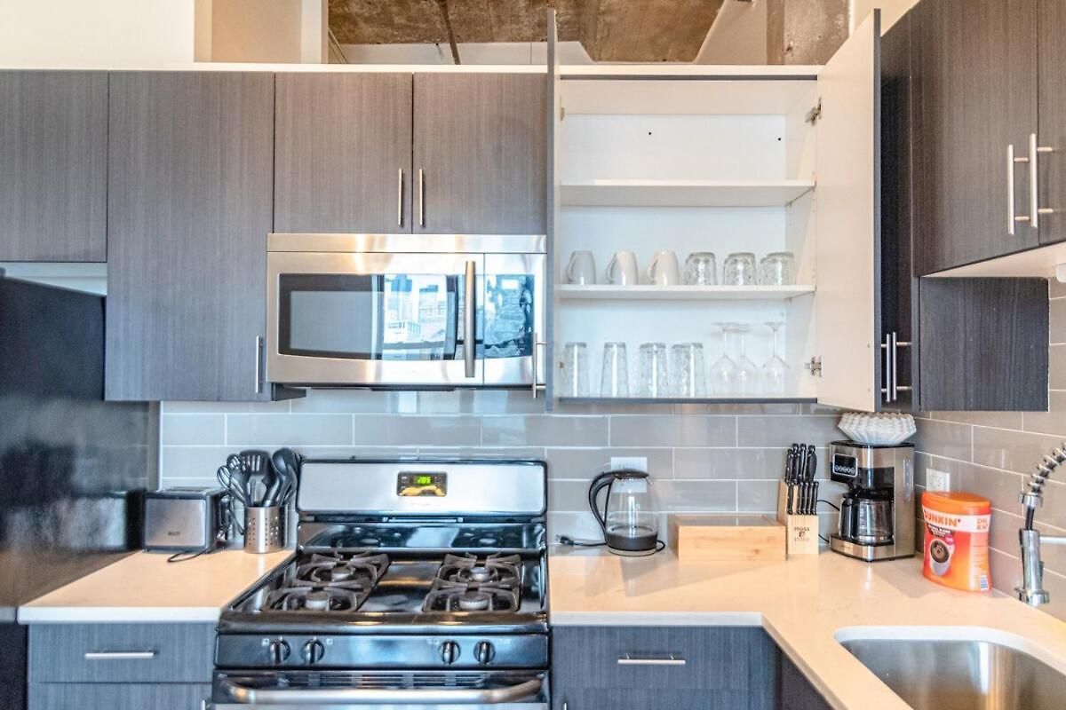 Luxury Cozy 2br With Optional Parking And Gym Access Near Mccormick Place, Lakefront And Soldier Field Apartment Chicago